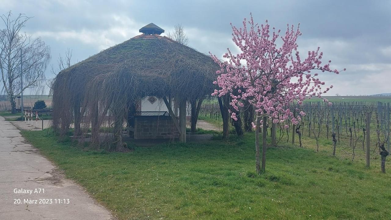 Ferienwohnung Zum Weinberg Grosskarlbach Exterior photo