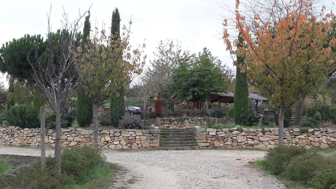 Ferienwohnung Zum Weinberg Grosskarlbach Exterior photo